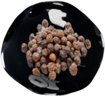 Pepper